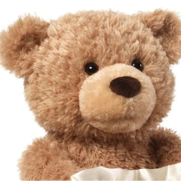Peek A Boo Teddy Bear with Voice