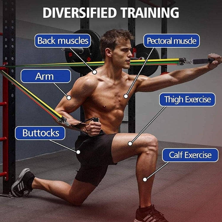 WHP™ – Resistance Bands for Workout