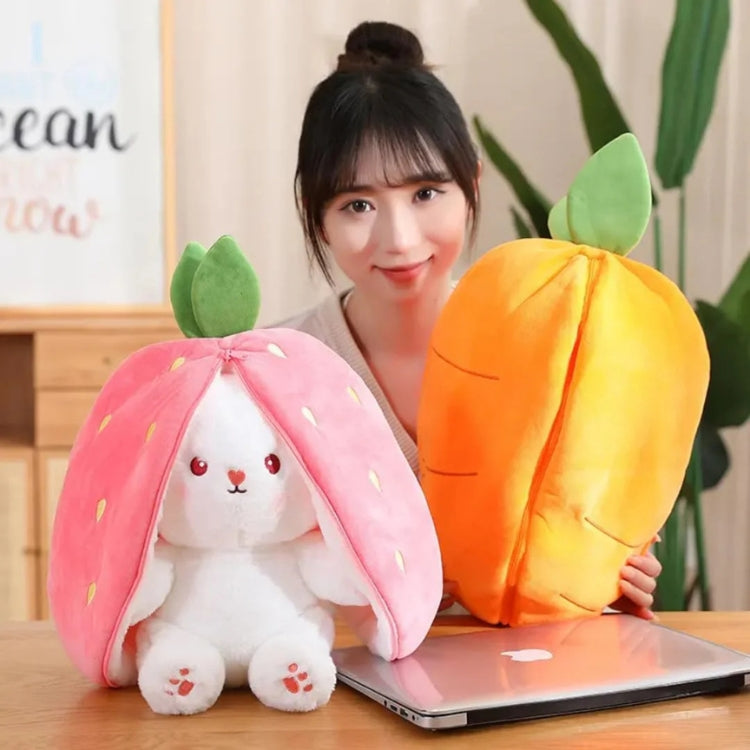 WHP™ – Cute Reversible Plush Toy Pillow