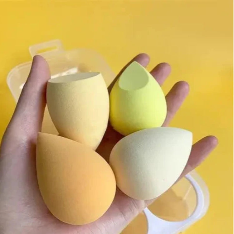 Makeup Sponges Set (4 Pcs Set With Case)