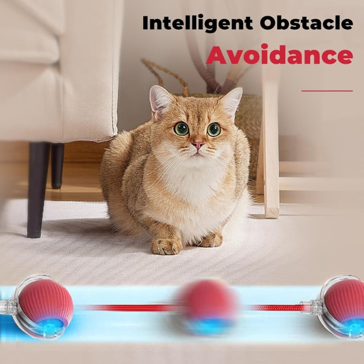 WHP™ – Rolling Ball Toy for Pets