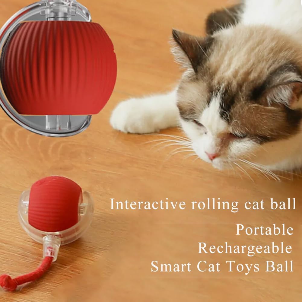 WHP™ – 360° Automatic Rolling Ball Toy for Pets