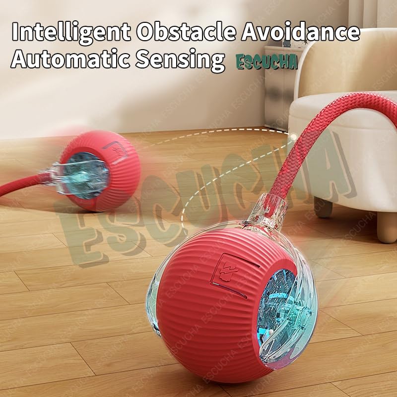 WHP™ – 360° Automatic Rolling Ball Toy for Pets