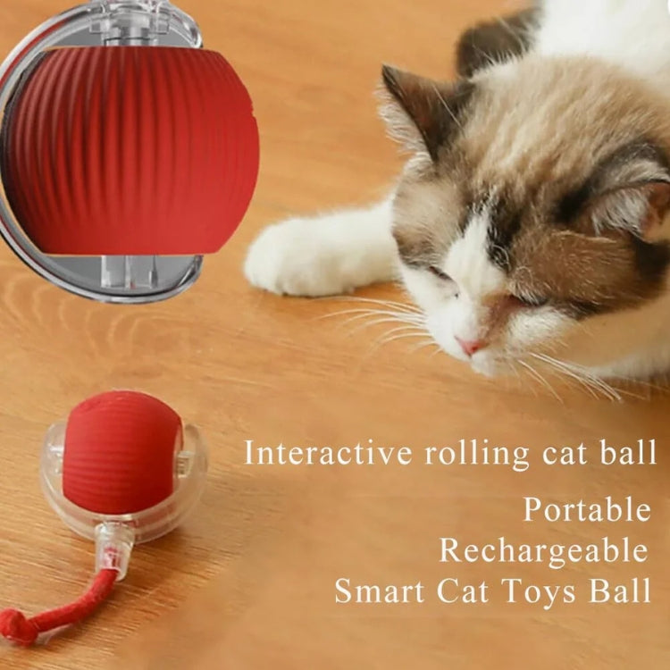 WHP™ – Rolling Ball Toy for Pets