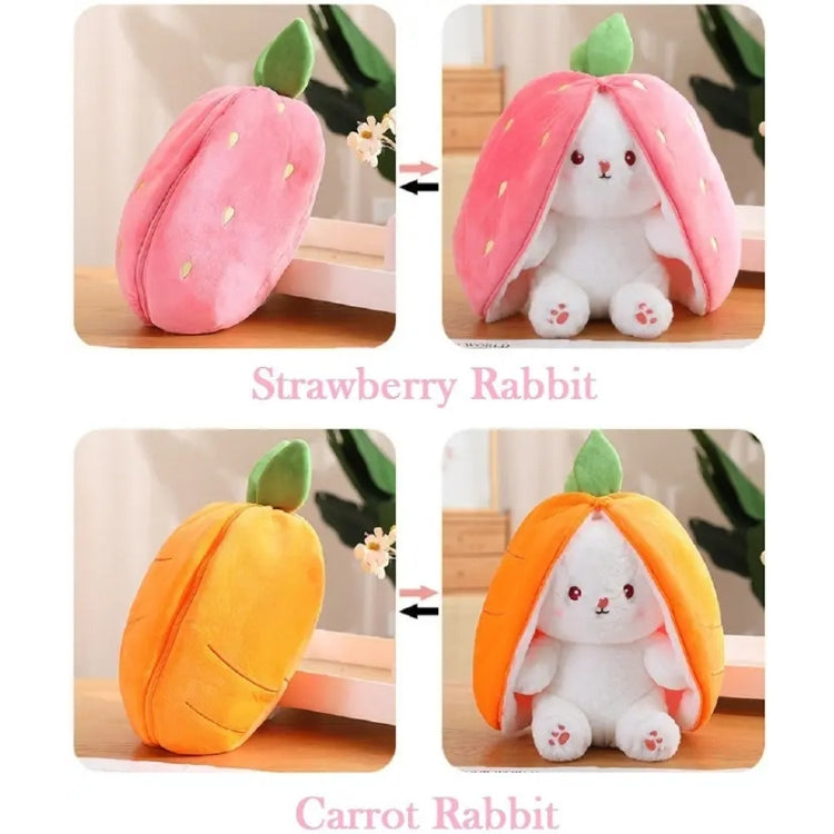 WHP™ – Cute Reversible Plush Toy Pillow