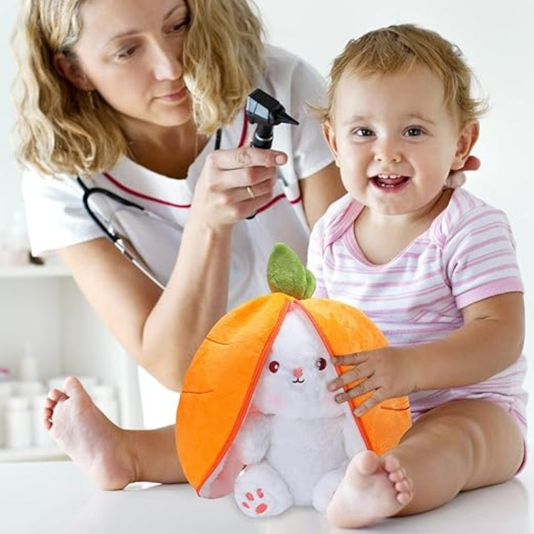 WHP™ – Cute Reversible Plush Toy Pillow