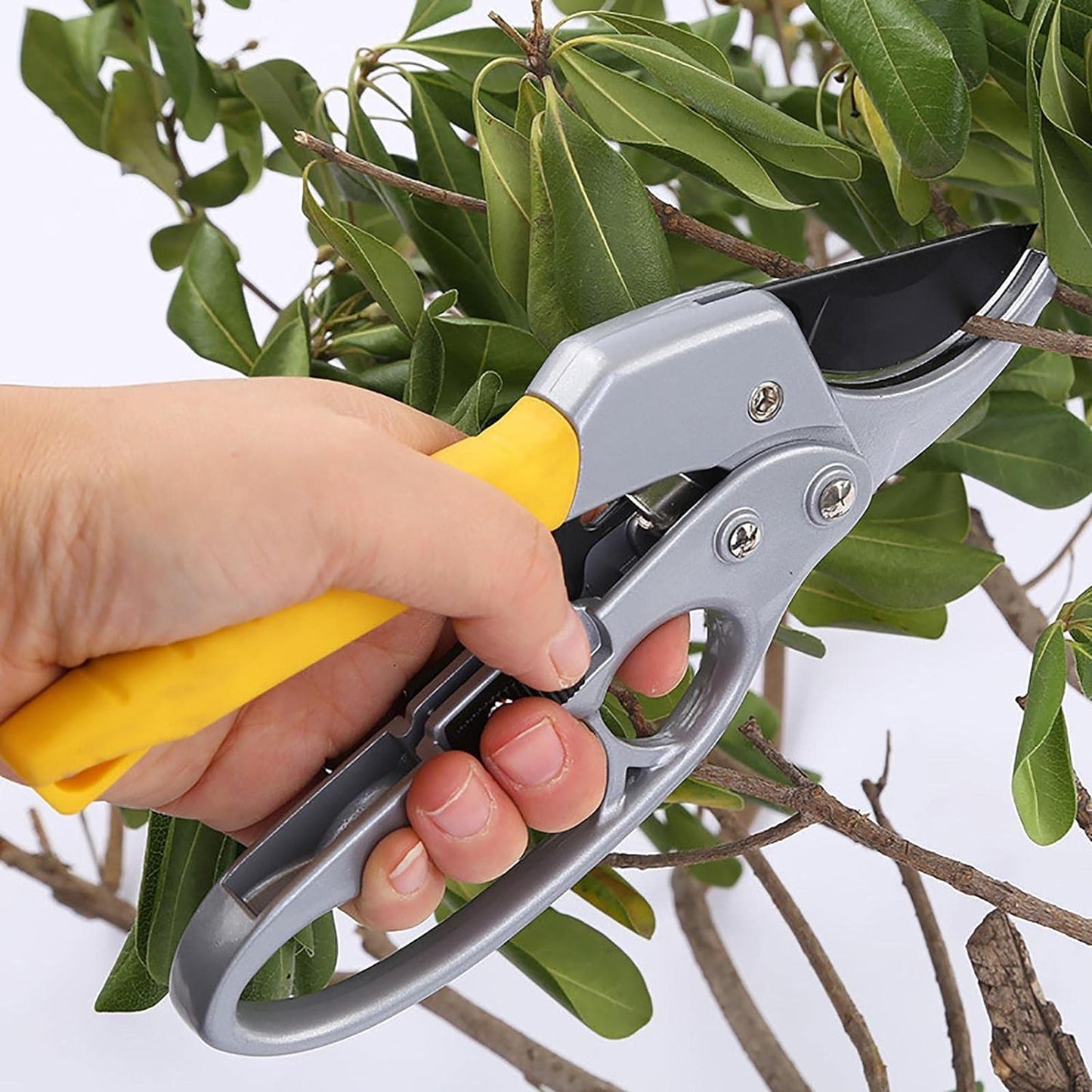 WHP™ – Enhanced Garden Shears Pruning Tool