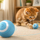 Best Pet Accessories Every Dog Owner Should Have (2026)
