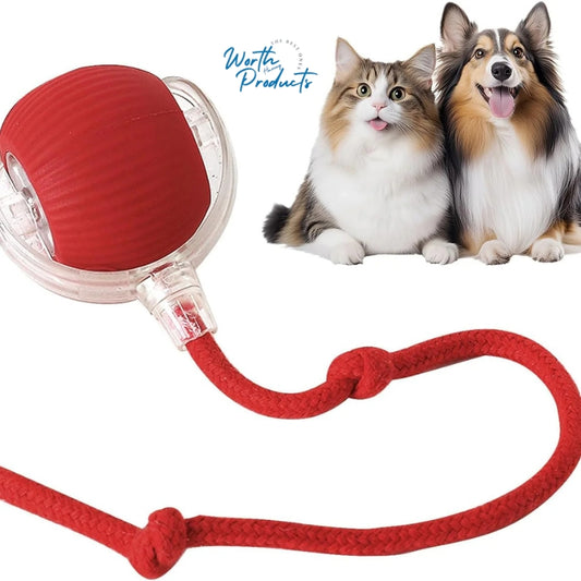 WHP™ – Rolling Ball Toy for Pets