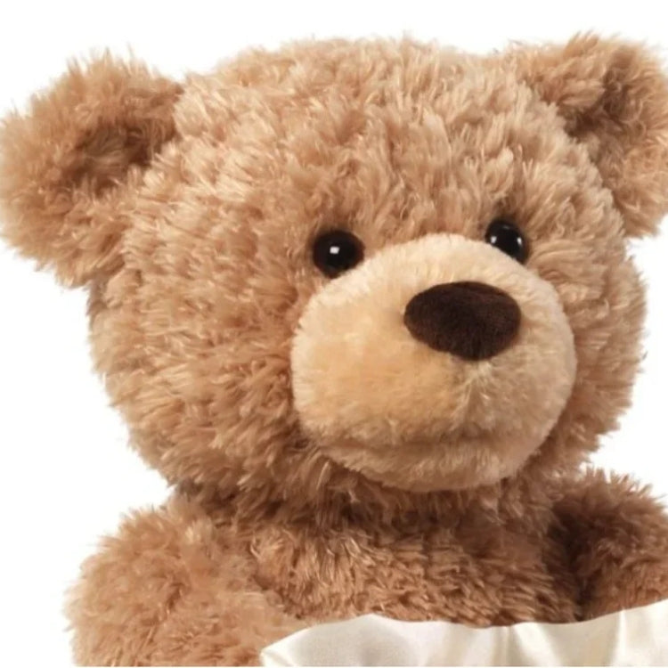 WHP™ – Peek A Boo Teddy Bear with Voice