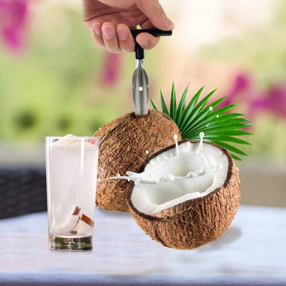 WHP™ – Stainless Steel Coconut Opener Tool
