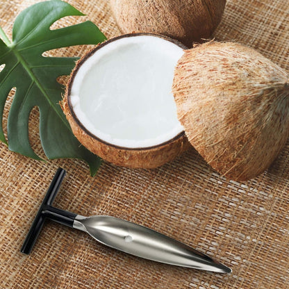 WHP™ – Stainless Steel Coconut Opener Tool