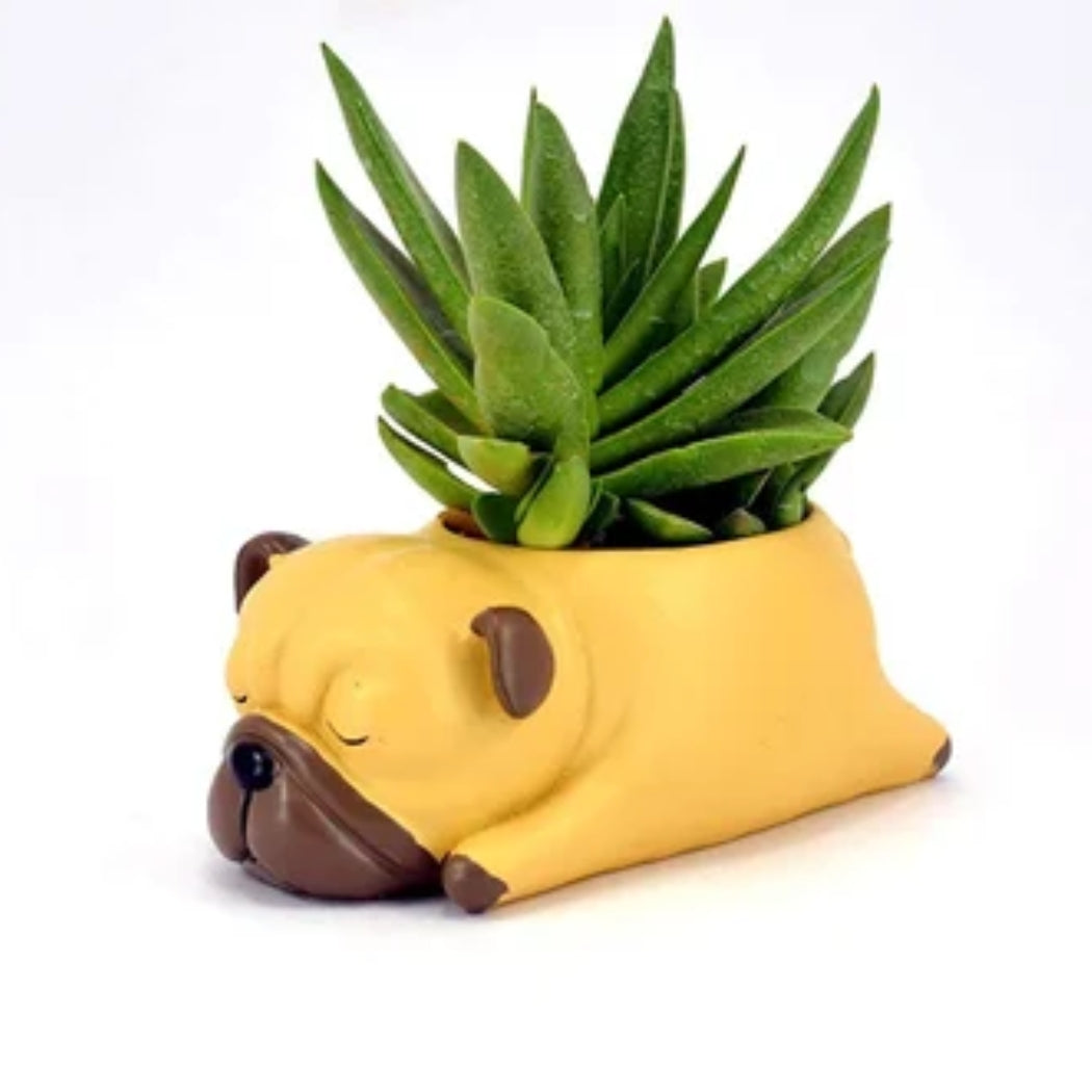WHP™ – Animal Shaped Resin Planter (Set of 3)