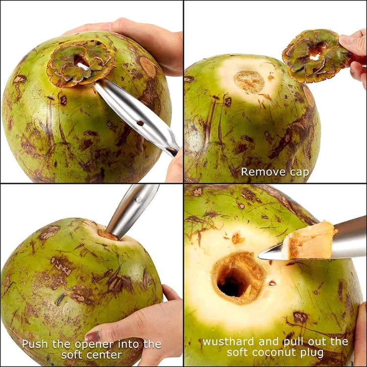 WHP™ – Stainless Steel Coconut Opener Tool