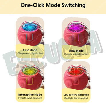 WHP™ – 360° Automatic Rolling Ball Toy for Pets