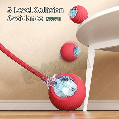 WHP™ – 360° Automatic Rolling Ball Toy for Pets