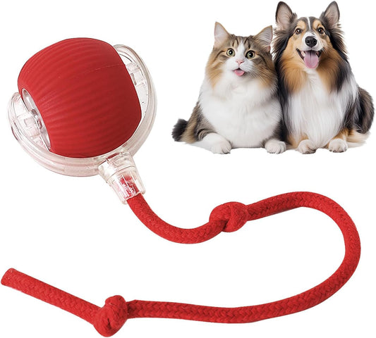 WHP™ – 360° Automatic Rolling Ball Toy for Pets