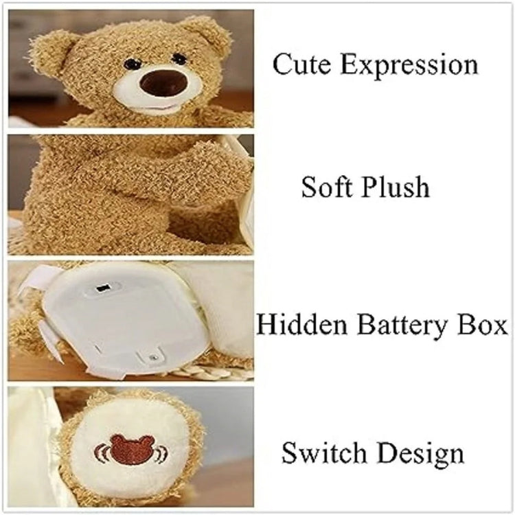 WHP™ – Peek A Boo Teddy Bear with Voice