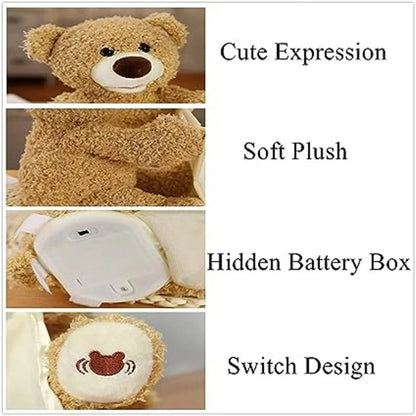 WHP™ – Peek A Boo Teddy Bear with Voice